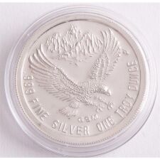 USA Silber Medaille - Goldgräber - Golden State Mint*