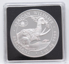 Somalia 100 shillings 2023 - Elefant - Privy WMF