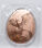 Samoa 20 Cent 2022 - Dinosaurier - Microraptor Gui - Kupfer PP