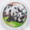 China 10 yuan 2024 - Panda - coloriert.
