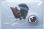 Australien 1 Dollar 2025 - Wedge Tailed Eagle 1oz - coloriert in Coincard