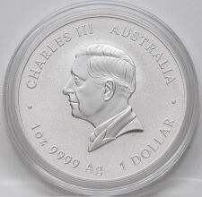 Australien 1 Dollar 2026 - Lunar III - Jahr des Pferdes - gilded