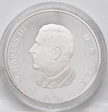 Kanada 20 Dollar 2026 - Sable Island Horses - PP