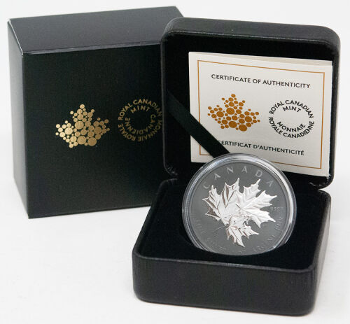 Vorderseite der Kanada 20 Dollar 2026 Triple Maple Leaf Silbermünze mit den drei kunstvoll arrangierten und detaillierten Ahornblättern im Matte Proof Finish.