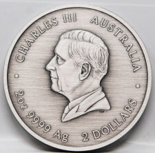 Australien 2 Dollar 2026 - Turtle Yaunati - 2 oz - antique finish