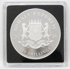Somalia 100 shillings 2026 - Elefant - Privy - ANA Pittsburgh
